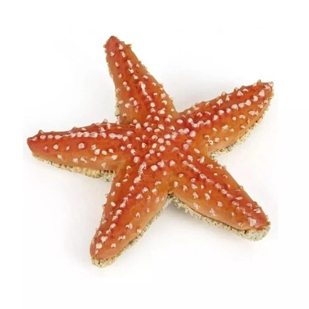 Starfish Sea Life Figure - Hand Painted Collectible Toy Figurine - NEW‎ Papo